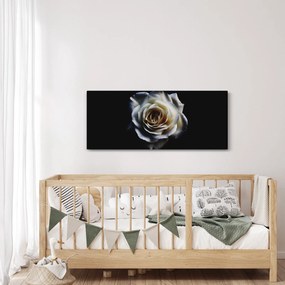 Obraz bielej ruže (120x50 cm)
