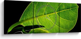 Obraz - zelený list (s hodinami) (90x30 cm)