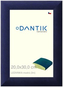 DANTIK rám na obraz 20x30 | LEDVINKA modrá (Sklo Čiré)
