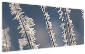 Obraz - Mrazík (120x50 cm)