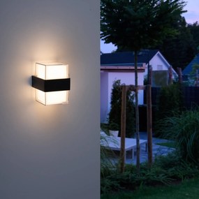 Paul Neuhaus Cara vonkajšie nástenné LED up/down