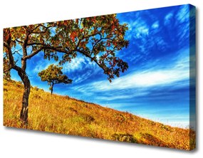 Obraz Canvas Lúka strom príroda 140x70 cm