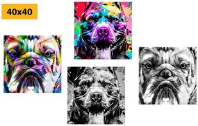 Set obrazov psy v pop art prevedení