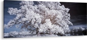 Obraz - Snehobiely strom (120x50 cm)