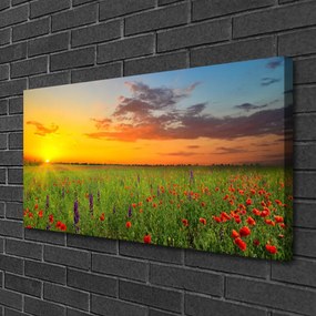Obraz Canvas Slnko lúka kvety príroda 140x70 cm