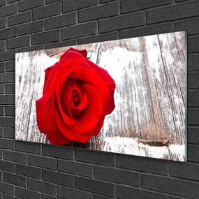Skleneny obraz Ruže kvet rastlina 120x60 cm