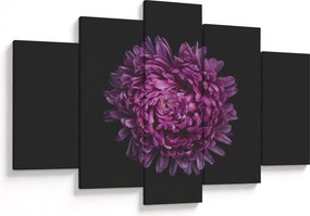 Obraz fialovej kvetiny (150x105 cm)