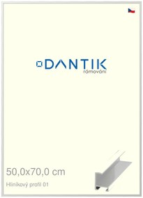 DANTIK rám na obraz 50x70 | ALU Stříbrná lesklá (Plexi Čiré)