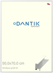 DANTIK rám na obraz 50x70 | ALU Stříbrná lesklá (Plexi Čiré)
