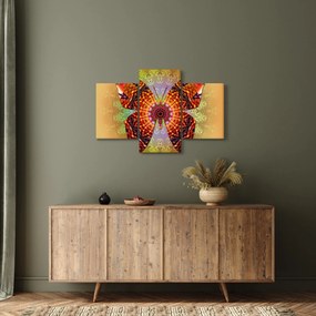 Obraz - Etno motýľ (90x60 cm)