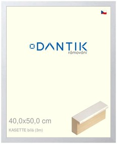 DANTIK rám na obraz 40x50 | KASSETTE bílá (Plexi Čiré)