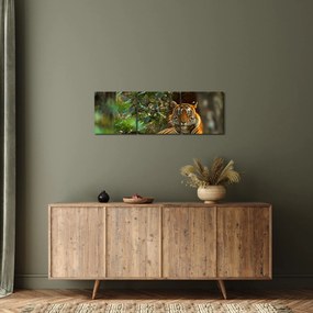 Obraz odpočívajúceho tigra (s hodinami) (90x30 cm)