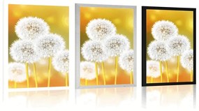Plagát nadýchaná púpava - 60x90 silver