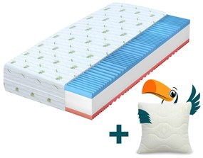 Wilsondo Penový matrac Carolina 160x200 Výška: 21 cm