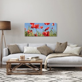 Obraz - Vlčie maky (120x50 cm)