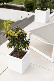 Kvetináč BLOCK, sklolaminát, 30x30x30 cm, biely mat