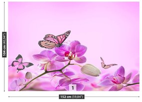 Fototapeta Vliesová Orchid motýľ 152x104 cm