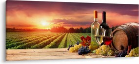 Obraz vinice s vínom (120x50 cm)