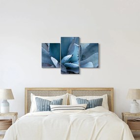 Obraz - Agáve (90x60 cm)