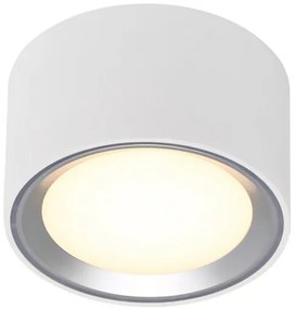 Nordlux - LED Stmievateľné stropné svietidlo FALLON LED/5,5W/230V