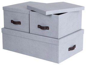 Svetlosivé kartónové úložné boxy s vekom v súprave 3 ks 31x47x15 cm Inge – Bigso Box of Sweden