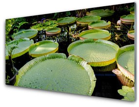 Skleneny obraz Listy jazero príroda 100x50 cm