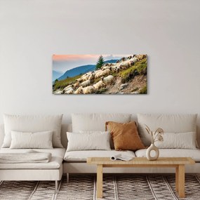 Obraz - Stádo oviec (120x50 cm)
