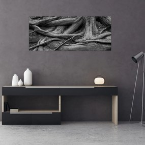 Obraz - Korene stromu (120x50 cm)