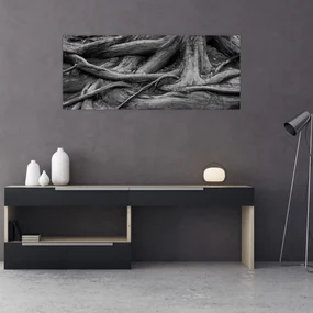 Obraz - Korene stromu (120x50 cm)
