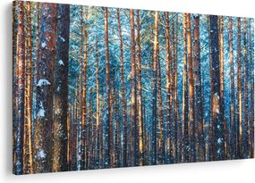 Obraz - Zimný les (90x60 cm)