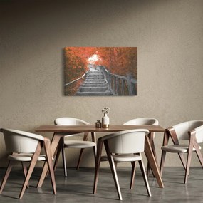 Obraz - Schody v prírode, oranžová (90x60 cm)
