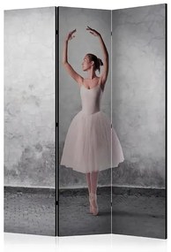 Paraván - Ballerina in Degas paintings style [Room Dividers] Veľkosť: 135x172, Verzia: Obojstranný