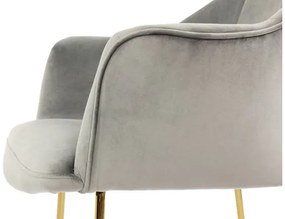 Čalúnené kreslo Anima, Dostupné poťahy: Magic Velvet 2206
