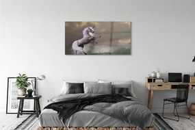 Obraz na akrylátovom skle Unicorn top 125x50 cm