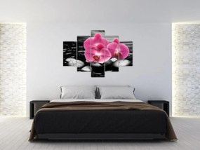 Obraz - Ružové orchidey (150x105 cm)