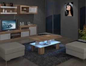 Konferenčný stolík Sudbury 2 (sonoma svetlá + lesk biely). Vlastná spoľahlivá doprava až k Vám domov. 780024