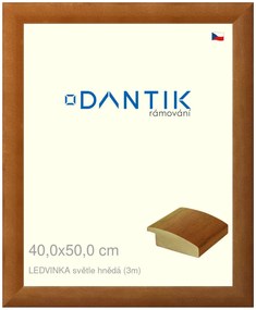 DANTIK rám na obraz 40x50 | LEDVINKA světle hnědá (Plexi Čiré)