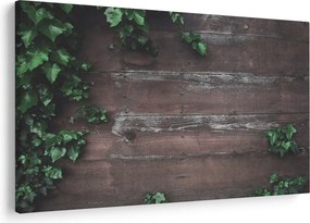 Obraz - Brečtan (90x60 cm)