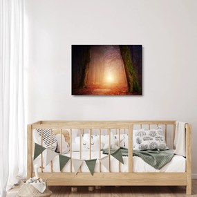Sklenený obraz jesenného lesa v hmle (70x50 cm)
