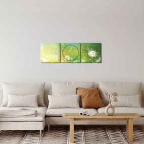 Obraz - Odkvitnuté púpavy (s hodinami) (90x30 cm)