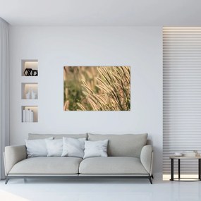 Obraz - Obilie (90x60 cm)