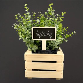 AMADEA Drevený zápich - ceduľka na bylinky, výška 15 cm, český výrobok