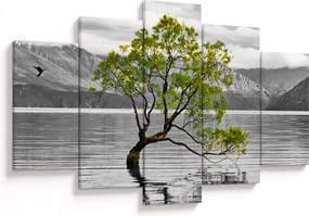 Obraz stromu uprostred jazera (150x105 cm)