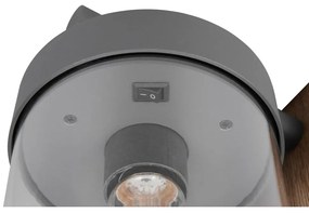 Nástenné vonkajšie svietidlo (výška 33 cm) Sambesi – Trio