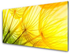 Skleneny obraz Púpavy kvety príroda 100x50 cm