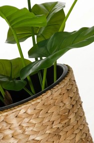 Kvetináč CLASSIC ROUND, vodný hyacint, výška 60 cm, natur