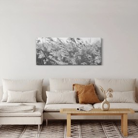 Obraz - Tráva vo vetre (120x50 cm)