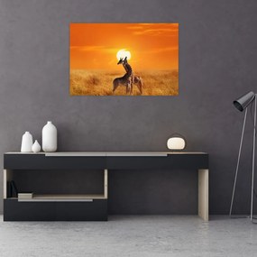 Obraz - Žirafy v národnom parku Serengeti (90x60 cm)