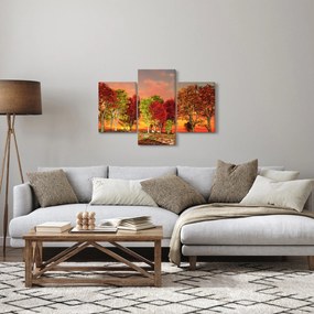 Obraz - Farebné stromy (90x60 cm)