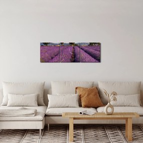 Obraz - Levanduľové pole a hory (s hodinami) (90x30 cm)